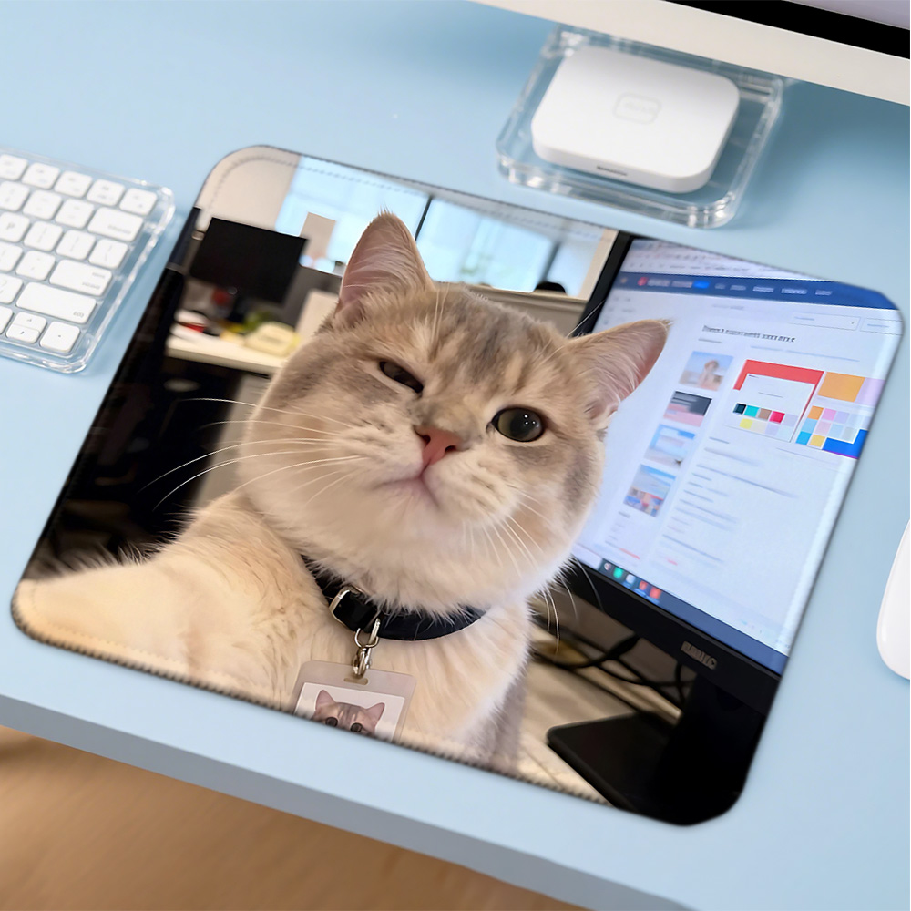 Коврик для мыши Mosepad Kawaii – обзор и цена Gaming Accessories Companies