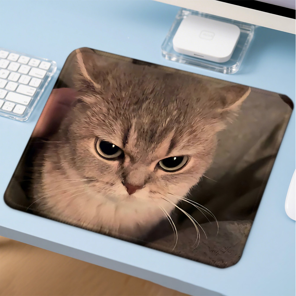 Коврик для мыши Mosepad Kawaii – обзор и цена Gaming Accessories Companies